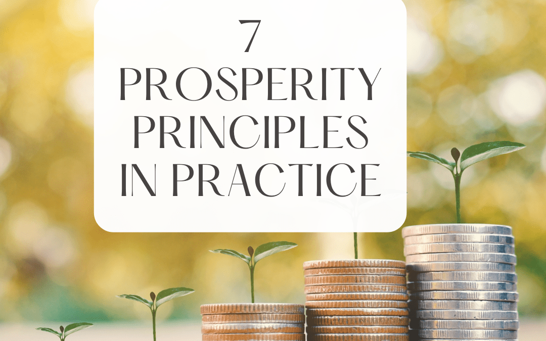 7 Prosperity Principles in Practice